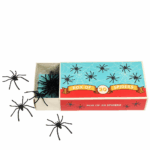 box of 20 spiders