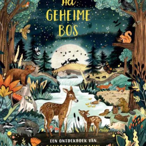 het geheime bos